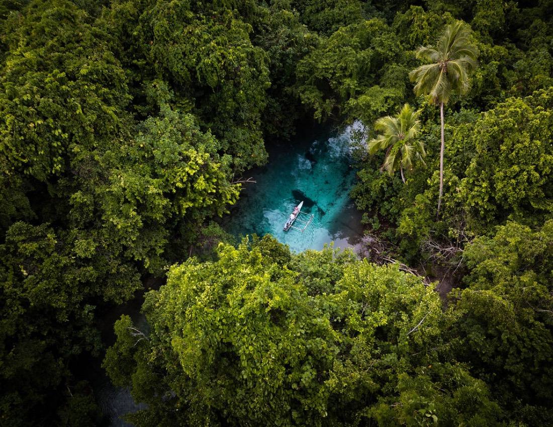 Aerial · Rainforest, photo by Pate Laveti
